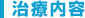 治療内容